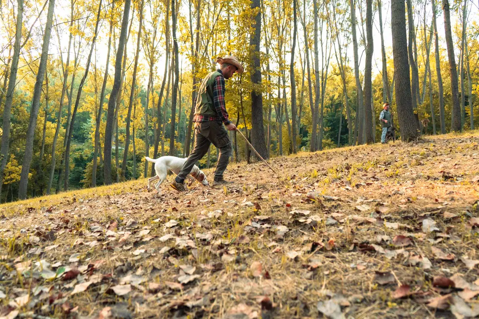 La stagione del tartufo