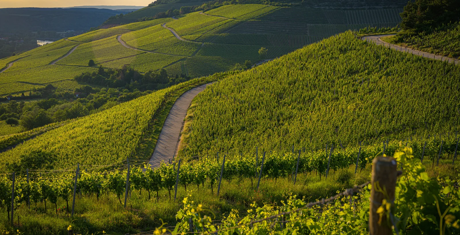 Paesaggio Langhe e Monferrato