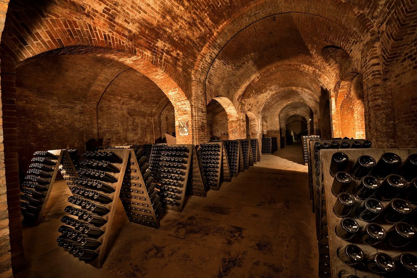 Cantine Bosca: storia e visita completa